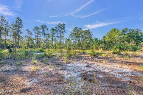 Tiny photo for 432440 Brians Woods Rd L22b And 22c, Maple Hill, NC 28454 (MLS # 100537265)