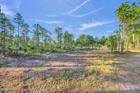 Tiny photo for 432440 Brians Woods Rd L22b And 22c, Maple Hill, NC 28454 (MLS # 100537265)