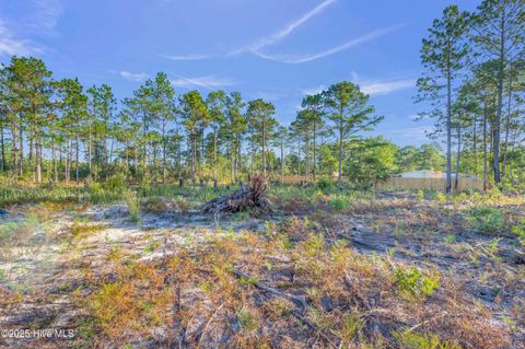 Tiny photo for 432440 Brians Woods Rd L22b And 22c, Maple Hill, NC 28454 (MLS # 100537265)