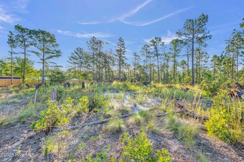 Tiny photo for 432440 Brians Woods Rd L22b And 22c, Maple Hill, NC 28454 (MLS # 100537265)