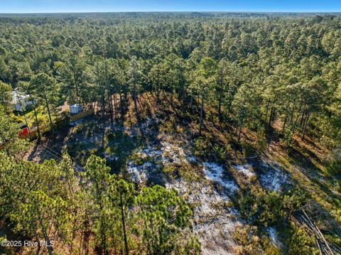 Tiny photo for 432440 Brians Woods Rd L22b And 22c, Maple Hill, NC 28454 (MLS # 100537265)