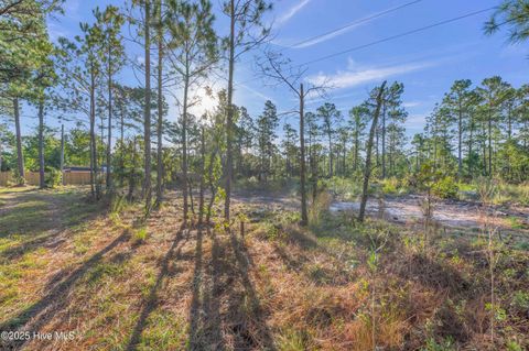 Tiny photo for 432440 Brians Woods Rd L22b And 22c, Maple Hill, NC 28454 (MLS # 100537265)