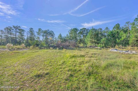 Tiny photo for 432440 Brians Woods Rd L22b And 22c, Maple Hill, NC 28454 (MLS # 100537265)