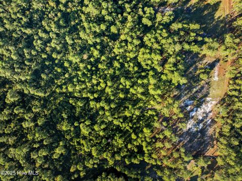 Tiny photo for 432440 Brians Woods Rd L22b And 22c, Maple Hill, NC 28454 (MLS # 100537265)