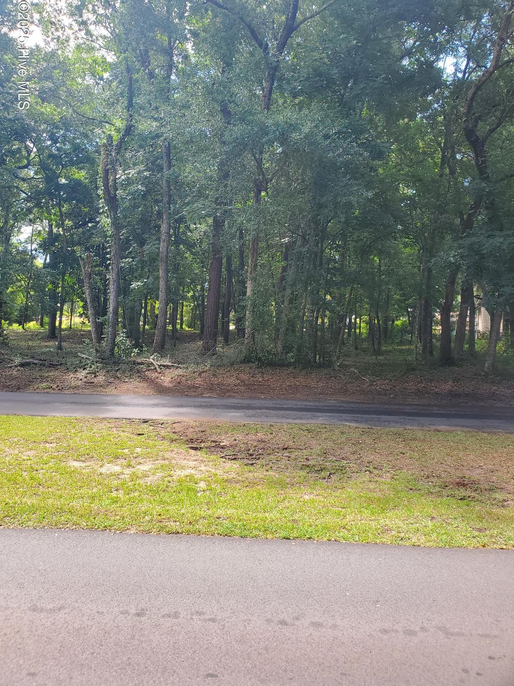 Photo of 9093 Ocean Harbour Golf Club Road SW, Calabash, NC 28467 (MLS # 100533161)