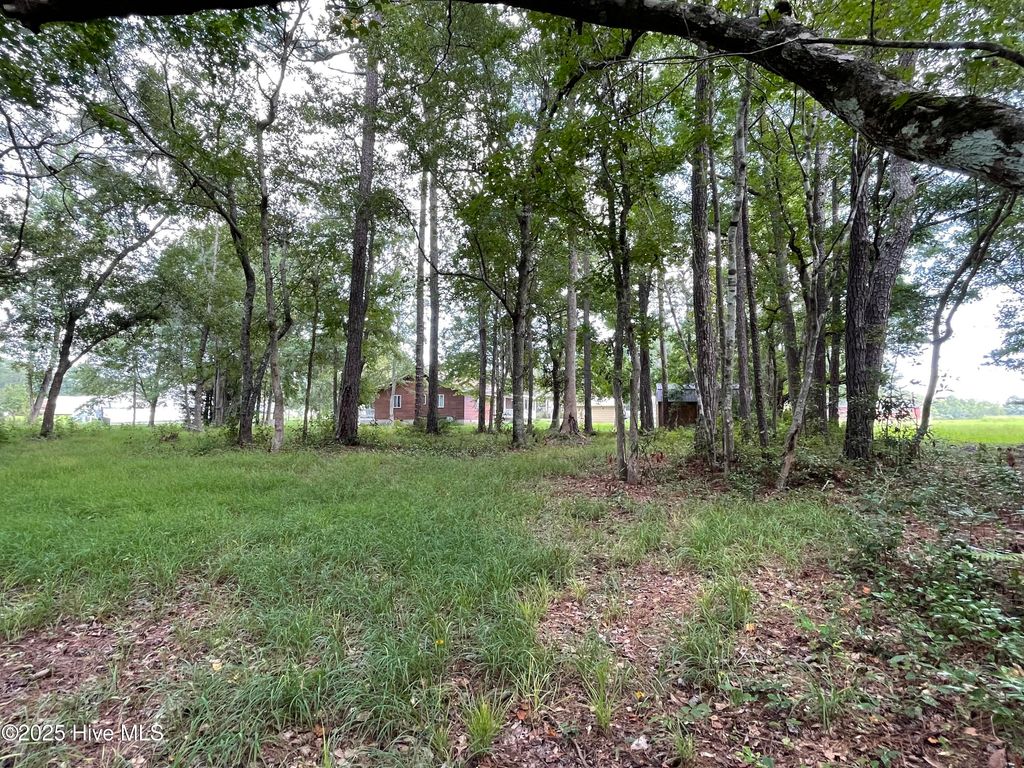 Photo of 645 Stone Ridge Road SW, Supply, NC 28462 (MLS # 100526059)