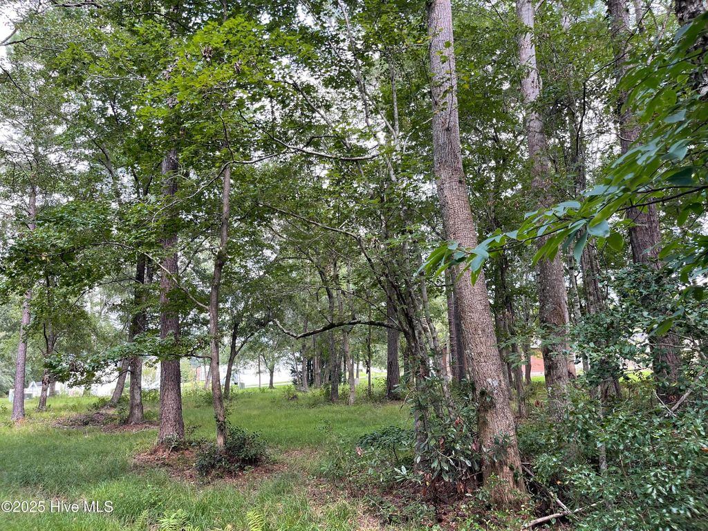 Photo of 645 Stone Ridge Road SW, Supply, NC 28462 (MLS # 100526059)