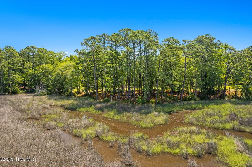 Photo of 2983 Ash Drive SW, Shallotte, NC 28470 (MLS # 100516614)