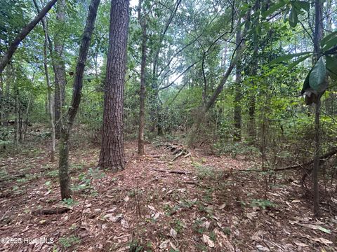 Photo of 13 Rockhill Road, Castle Hayne, NC 28429 (MLS # 100526193)