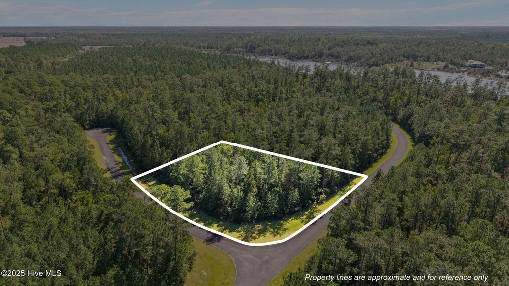 Photo of 26 Mason Lane, Merritt, NC 28556 (MLS # 100534176)