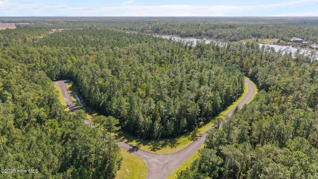 Photo of 26 Mason Lane, Merritt, NC 28556 (MLS # 100534176)