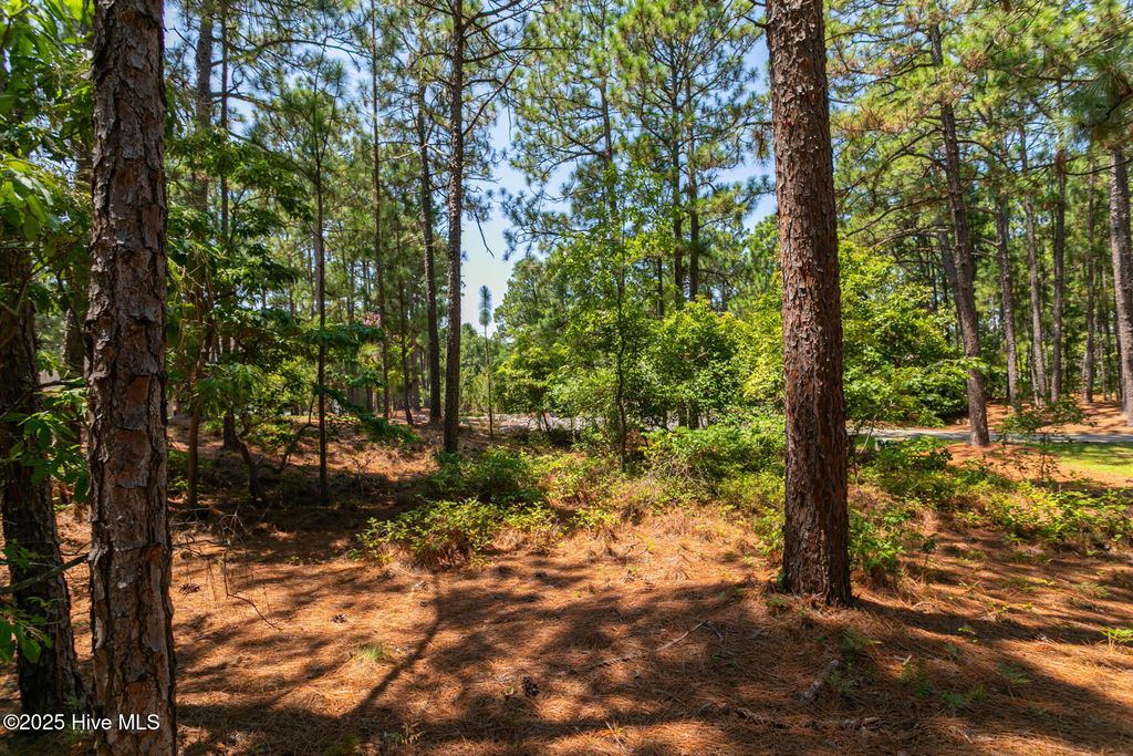 Photo of 106 Brendell Court, West End, NC 27376 (MLS # 100539087)