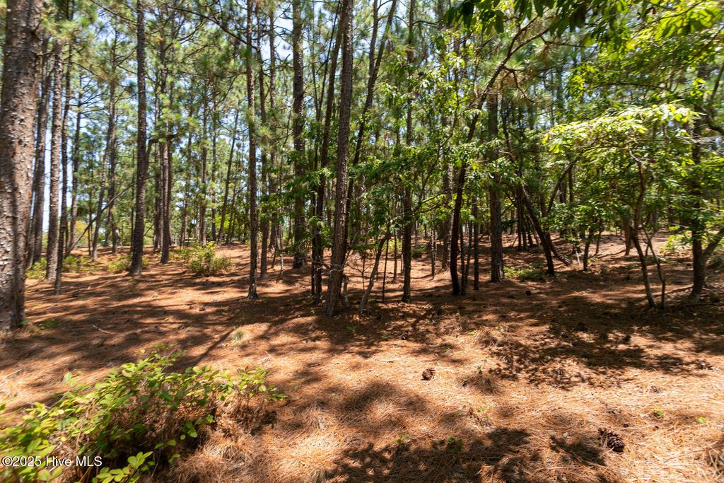 Photo of 106 Brendell Court, West End, NC 27376 (MLS # 100539087)
