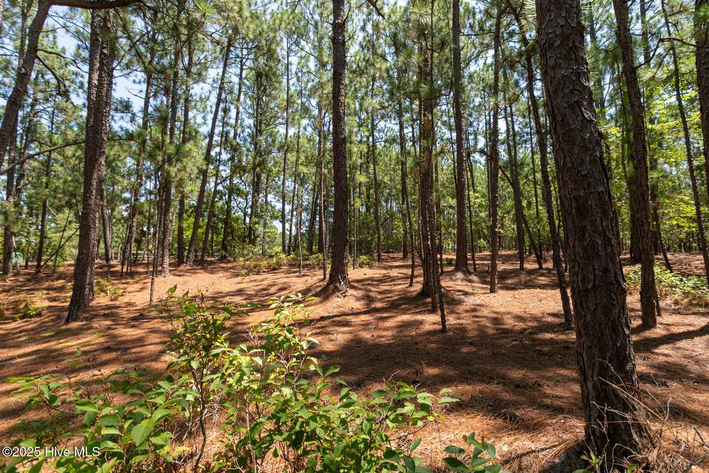 Photo of 106 Brendell Court, West End, NC 27376 (MLS # 100539087)