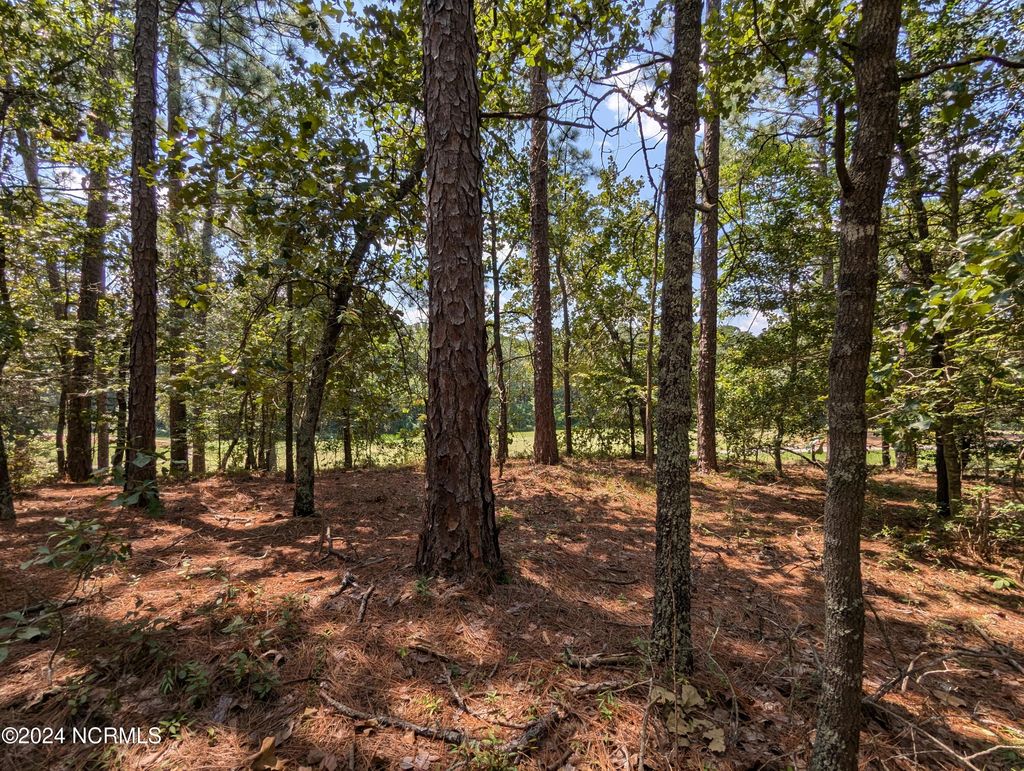 Photo of 445 Thimbleberry Drive, Vass, NC 28394 (MLS # 100462155)