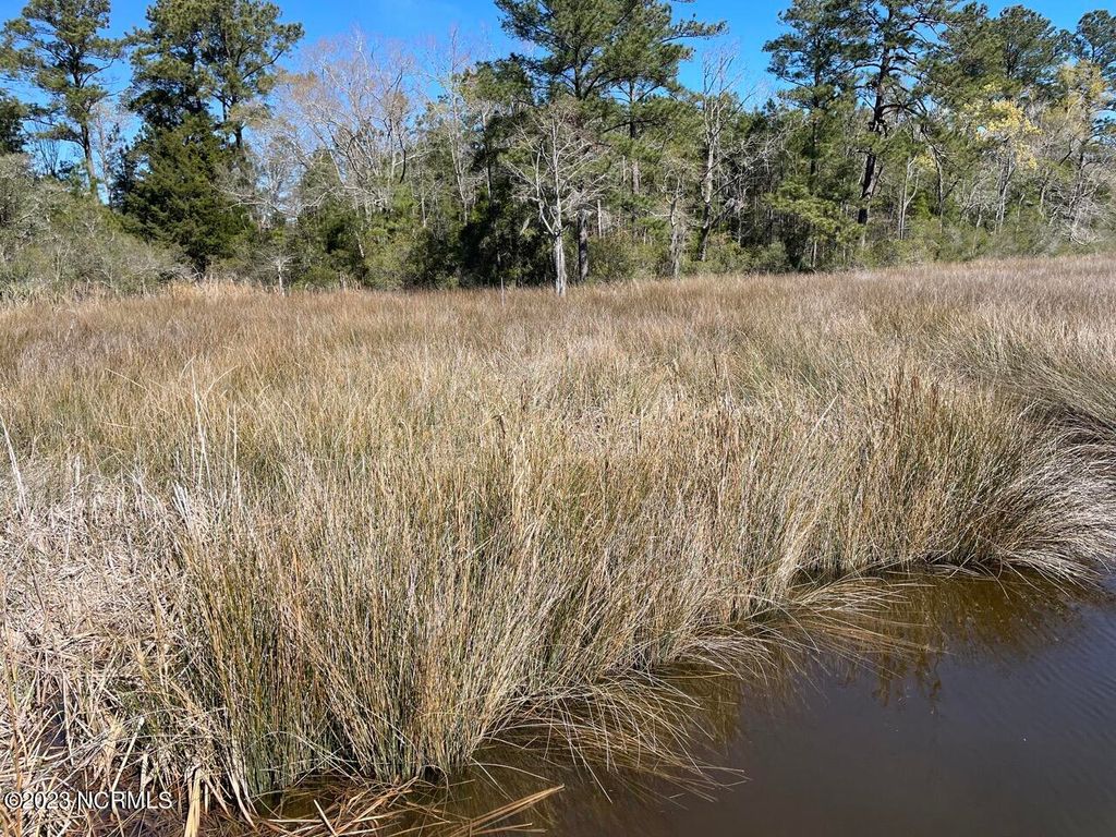 Photo of 330211 Garbacon Drive, Beaufort, NC 28516 (MLS # 100374410)