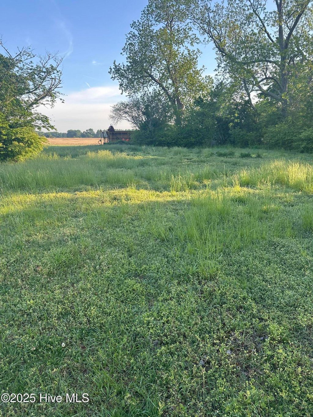 Photo of 1052 Hidden Lakes Road, Williamston, NC 27892 (MLS # 100503136)