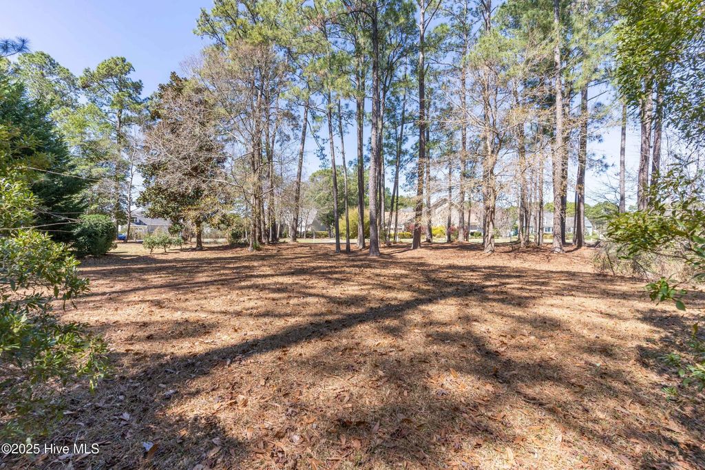 Photo of 3549 Beaver Creek Drive SE, Southport, NC 28461 (MLS # 100495680)