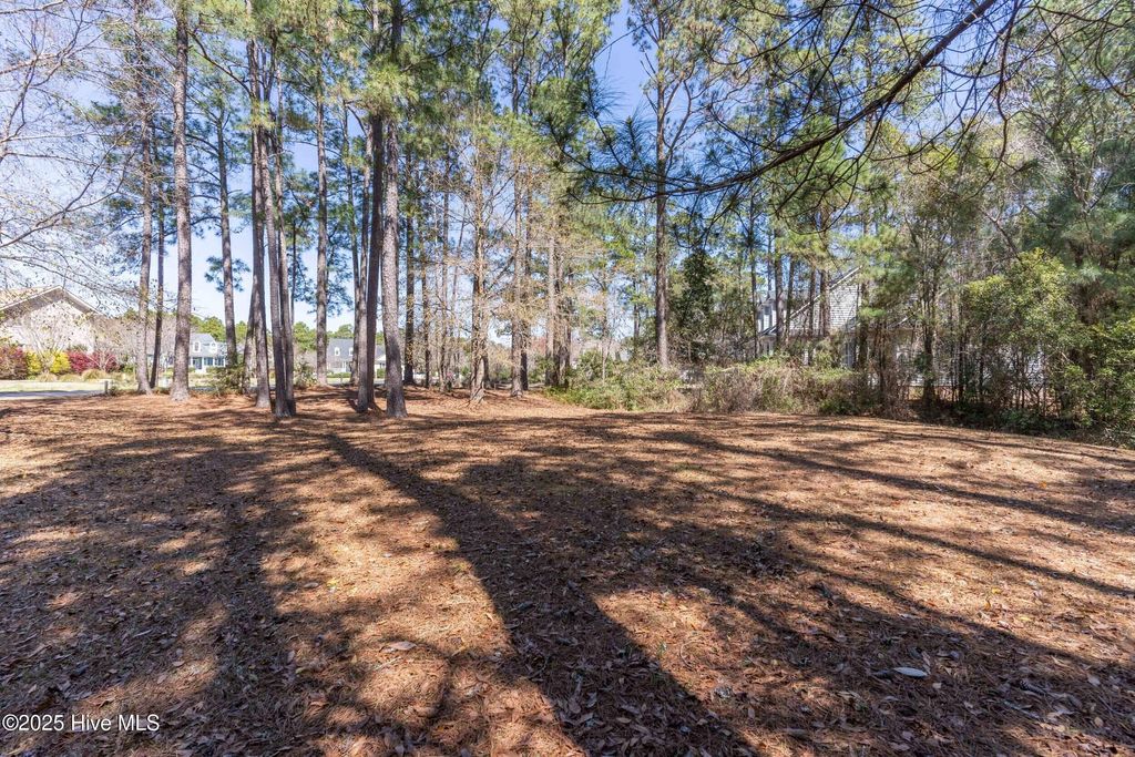 Photo of 3549 Beaver Creek Drive SE, Southport, NC 28461 (MLS # 100495680)