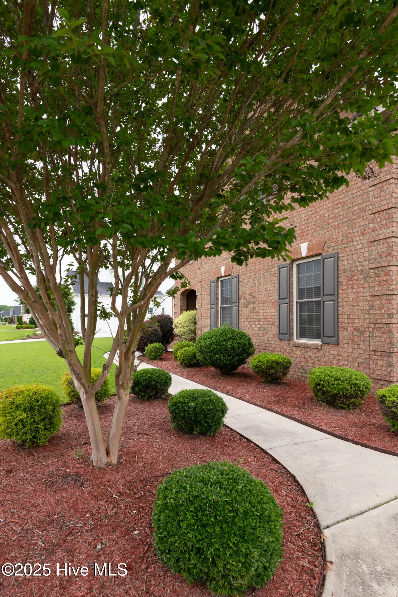 Greenville, North Carolina 27858, United States, 4 Bedrooms Bedrooms, ,4 BathroomsBathrooms,Residential,Pending,123989