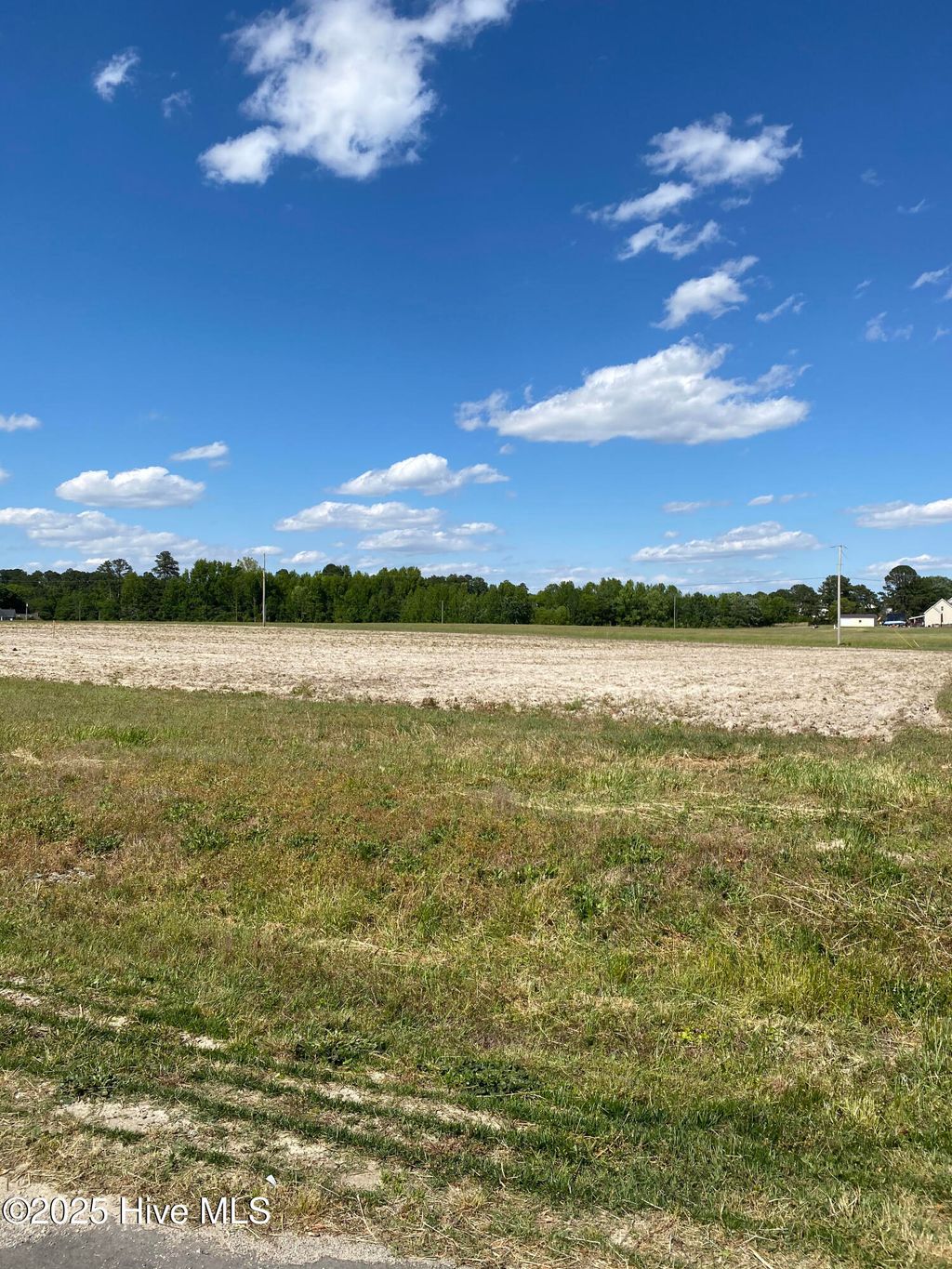 Photo of 107 Amber Court, Whitakers, NC 27891 (MLS # 100526187)