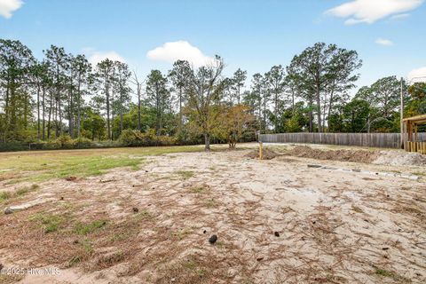 Tiny photo for 149 Ash Court, Hubert, NC 28539 (MLS # 100538579)