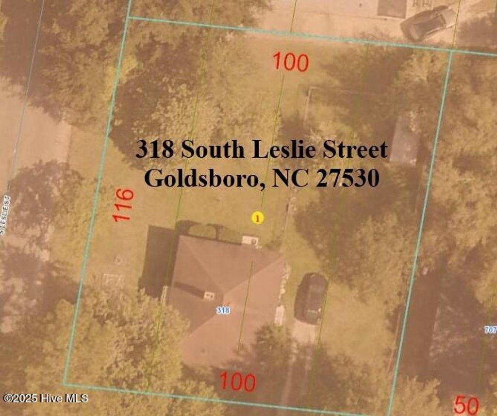 Photo of 318 S Leslie Street, Goldsboro, NC 27530 (MLS # 100537591)