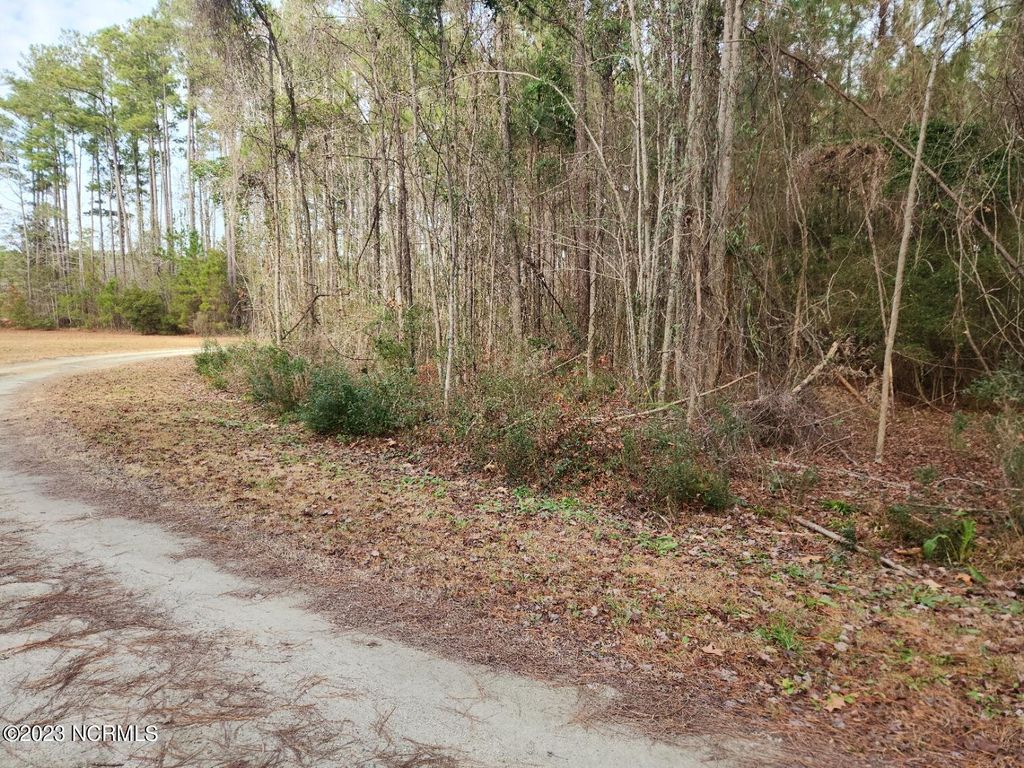 Photo of 208 Morris Creek Lane, Oriental, NC 28571 (MLS # 100365791)