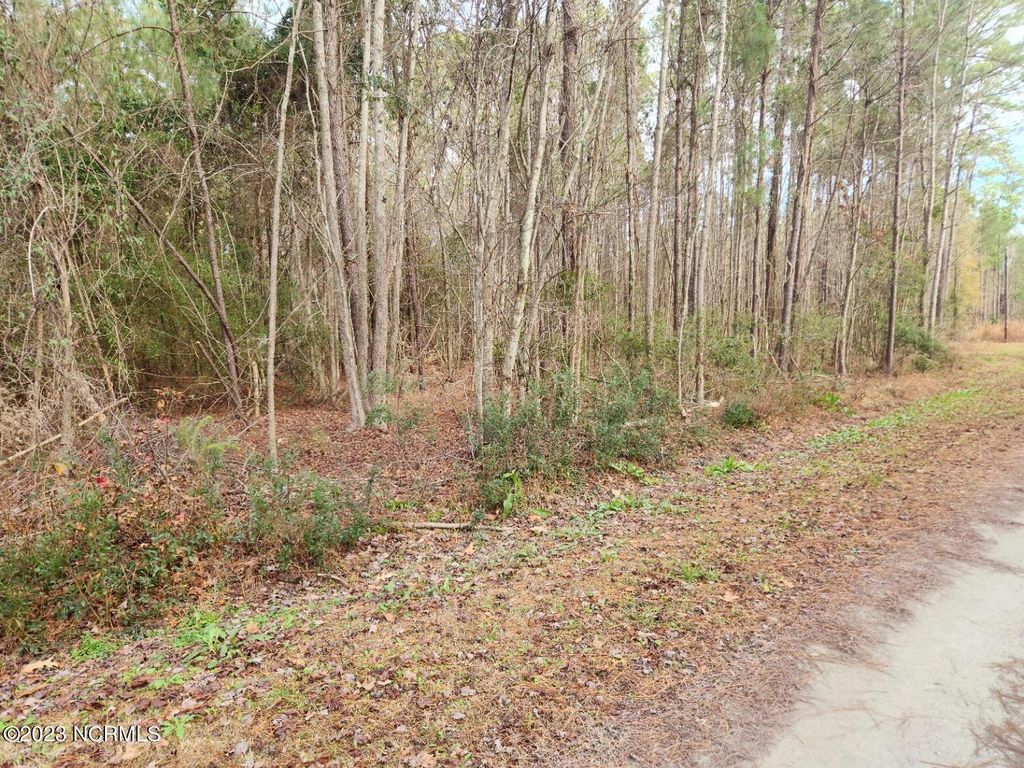 Photo of 208 Morris Creek Lane, Oriental, NC 28571 (MLS # 100365791)