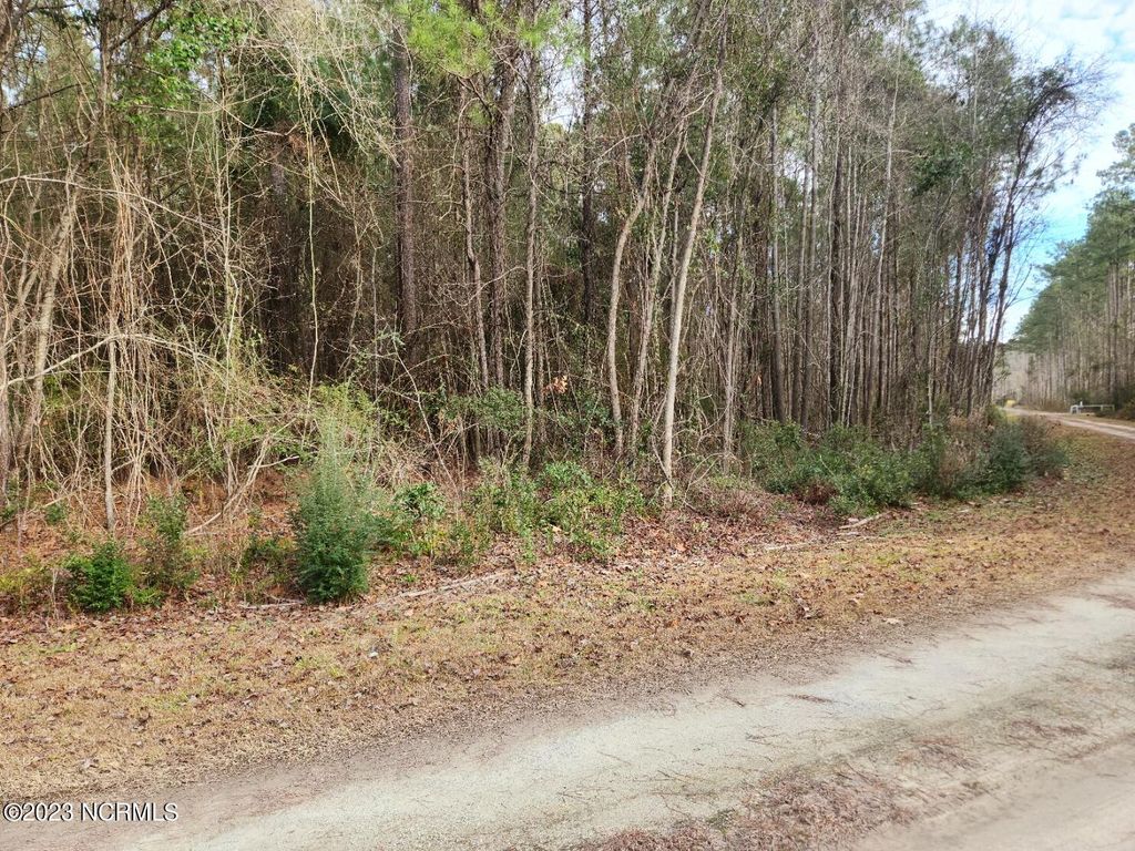 Photo of 208 Morris Creek Lane, Oriental, NC 28571 (MLS # 100365791)