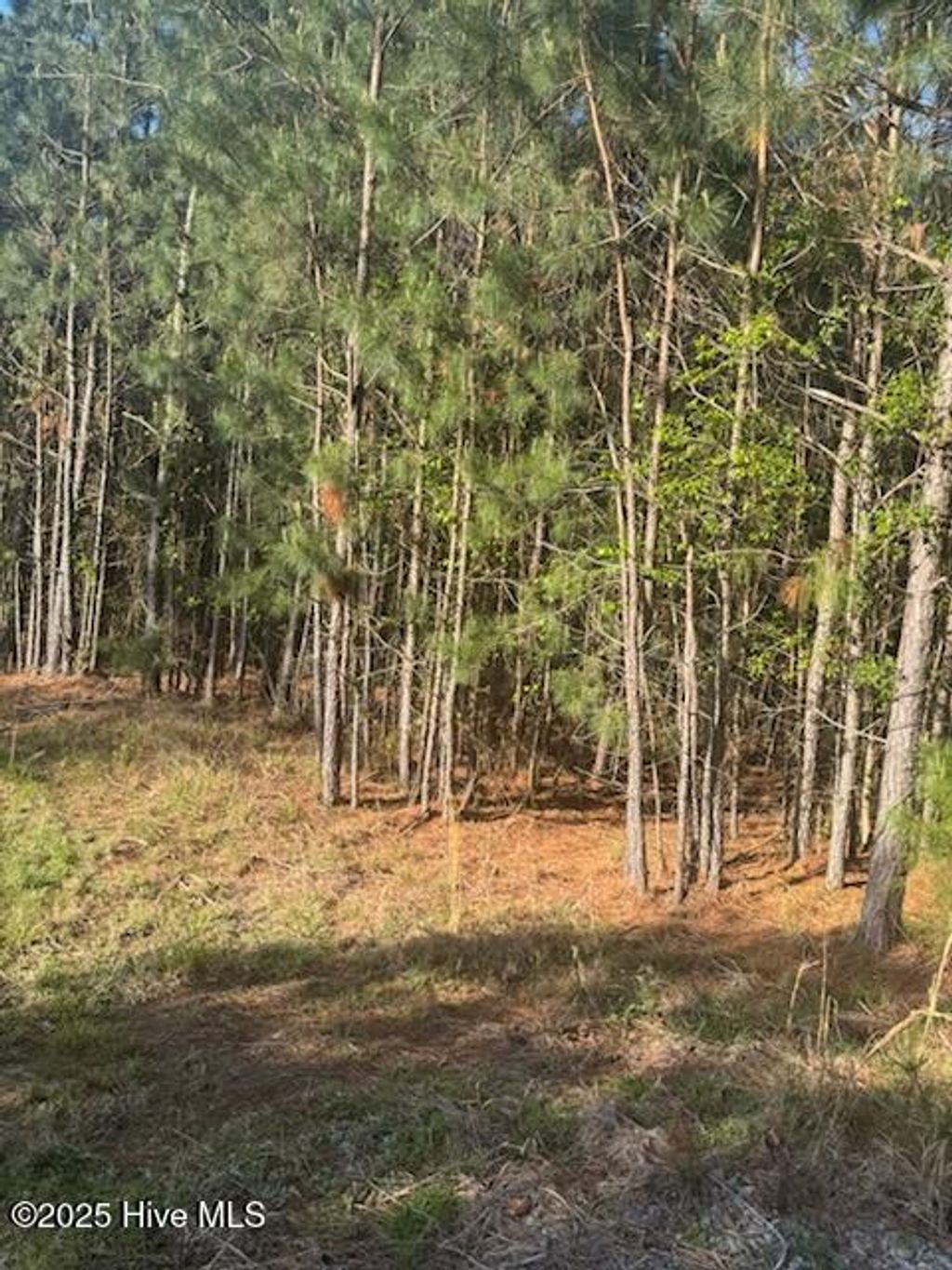 Photo of 0 Crestview Road, Rocky Mount, NC 27801 (MLS # 100500401)