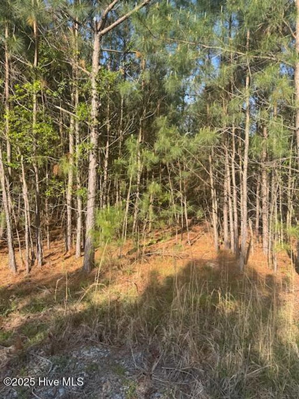 Photo of 0 Crestview Road, Rocky Mount, NC 27801 (MLS # 100500401)