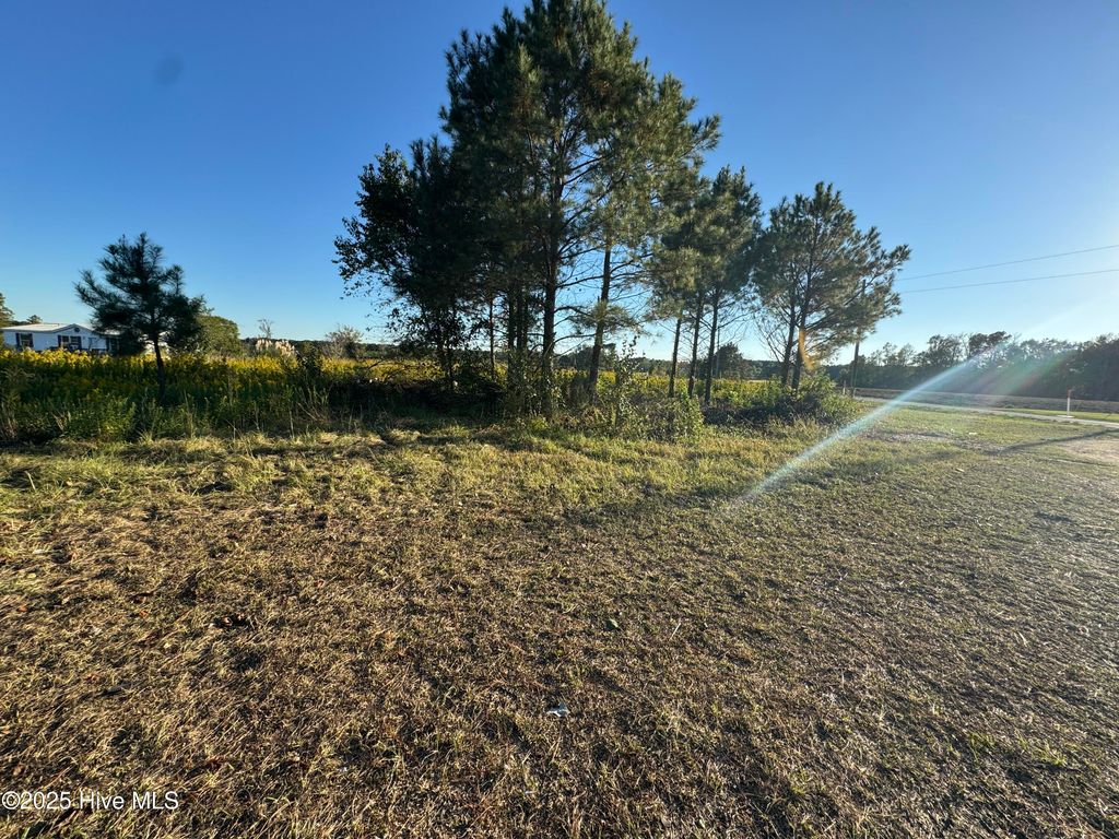 Photo of 3268 Beargrass Road, Stokes, NC 27884 (MLS # 100538484)