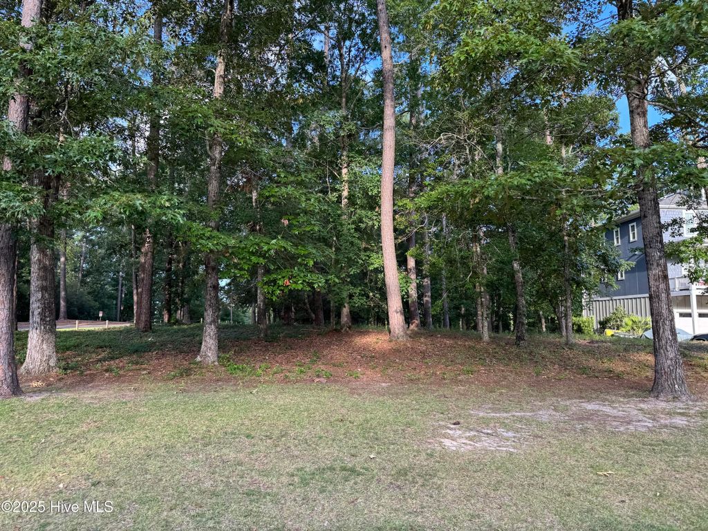 Photo of 645 Grovewood Lane SE, Bolivia, NC 28422 (MLS # 100516751)