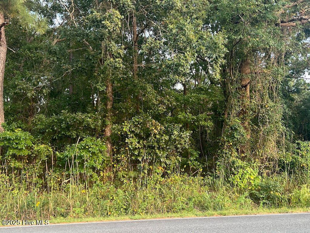 Photo of 4595 Mercer Mill Brown Marsh Road, Clarkton, NC 28433 (MLS # 100534877)