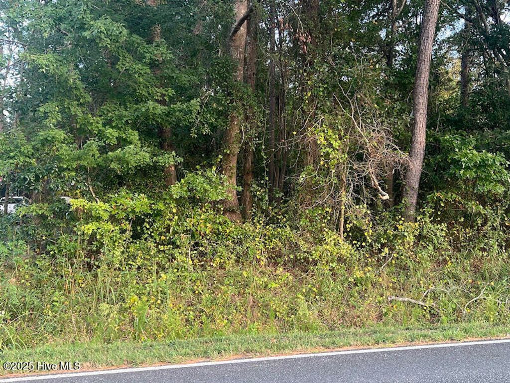 Photo of 4595 Mercer Mill Brown Marsh Road, Clarkton, NC 28433 (MLS # 100534877)
