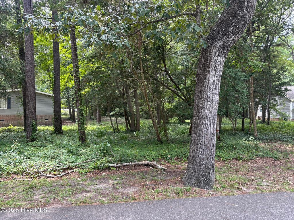 Photo of 3395 Marina Drive SE, Bolivia, NC 28422 (MLS # 100523242)