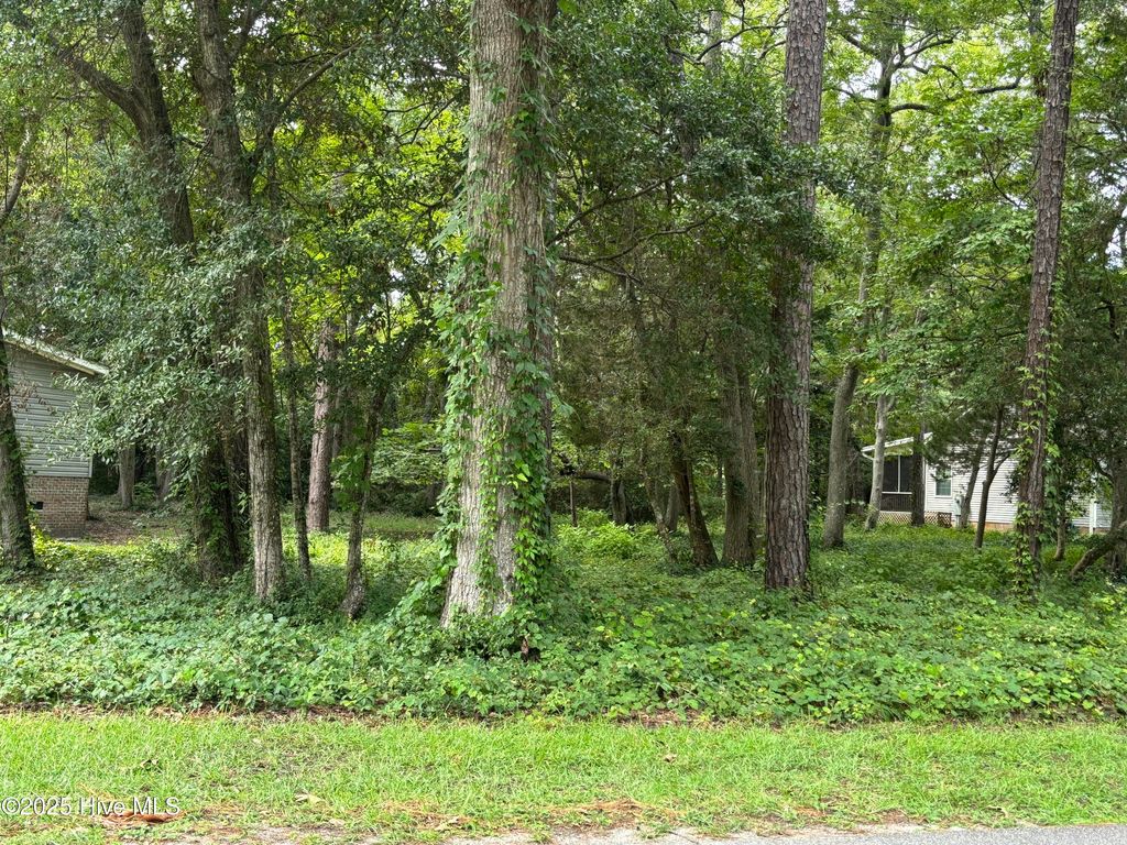 Photo of 3395 Marina Drive SE, Bolivia, NC 28422 (MLS # 100523242)