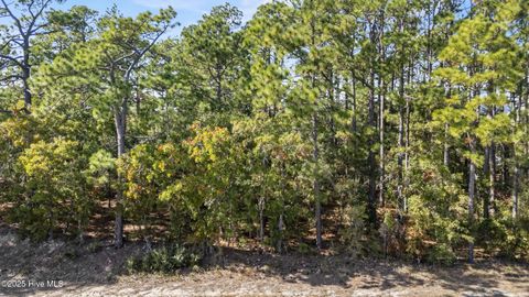 Tiny photo for 8230 River Road, Wilmington, NC 28412 (MLS # 100541399)