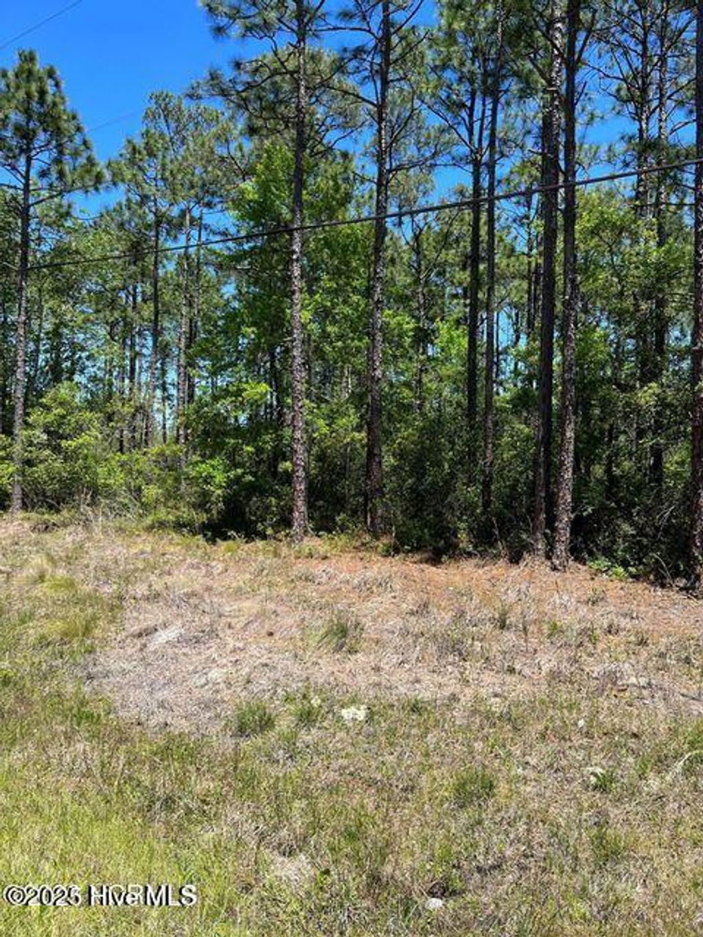 Photo of 13 Lexington Road, Southport, NC 28461 (MLS # 100506826)