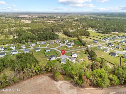 Tiny photo for 132 Azalea Plantation Boulevard, Maysville, NC 28555 (MLS # 100540067)