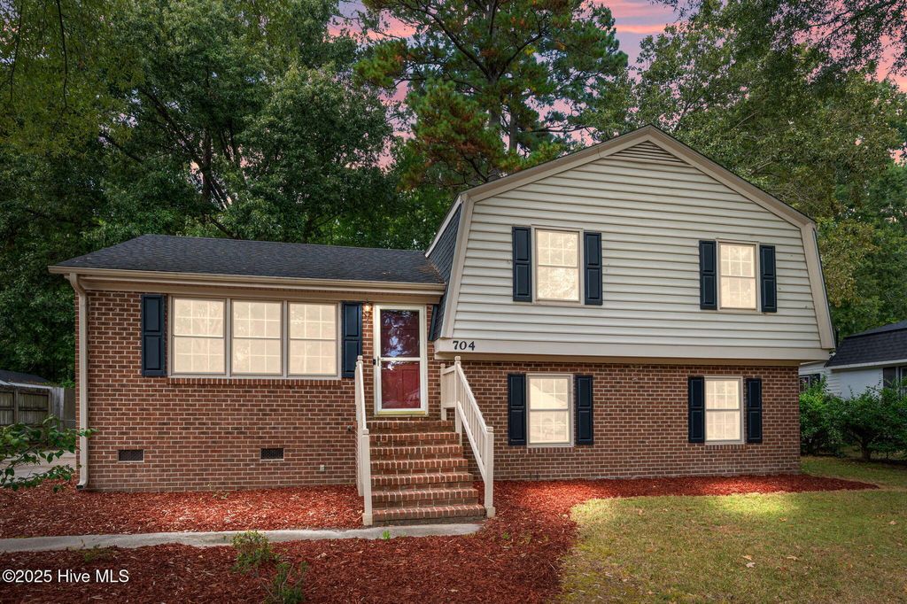Photo of 704 Forest Acres Drive, Tarboro, NC 27886 (MLS # 100528864)