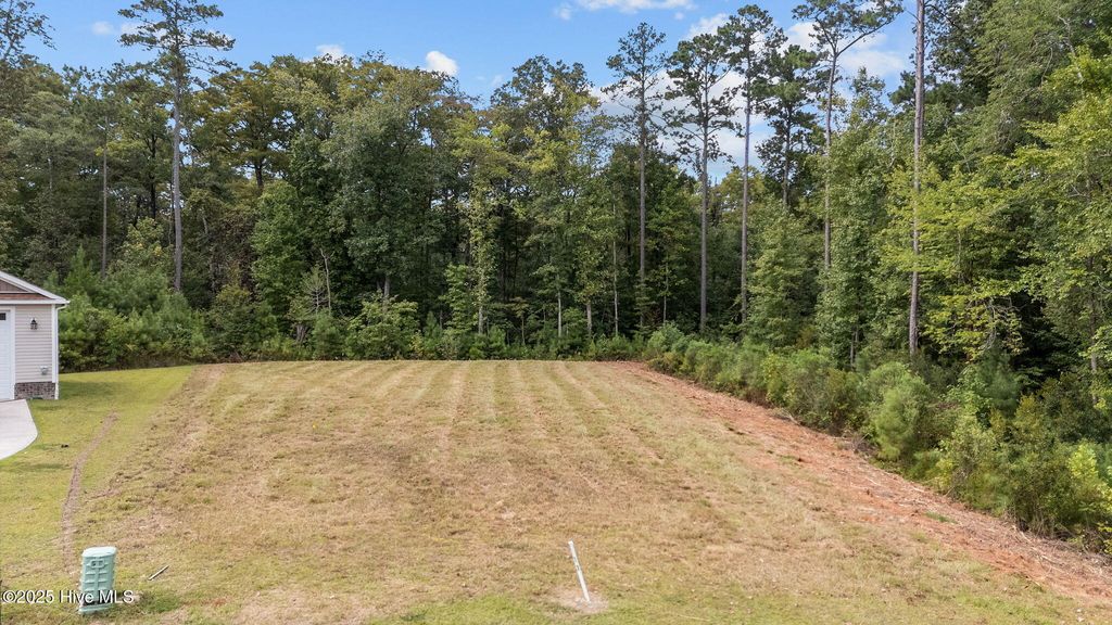 Photo of 3008 Verdant Ridge Ridge, New Bern, NC 28562 (MLS # 100377115)
