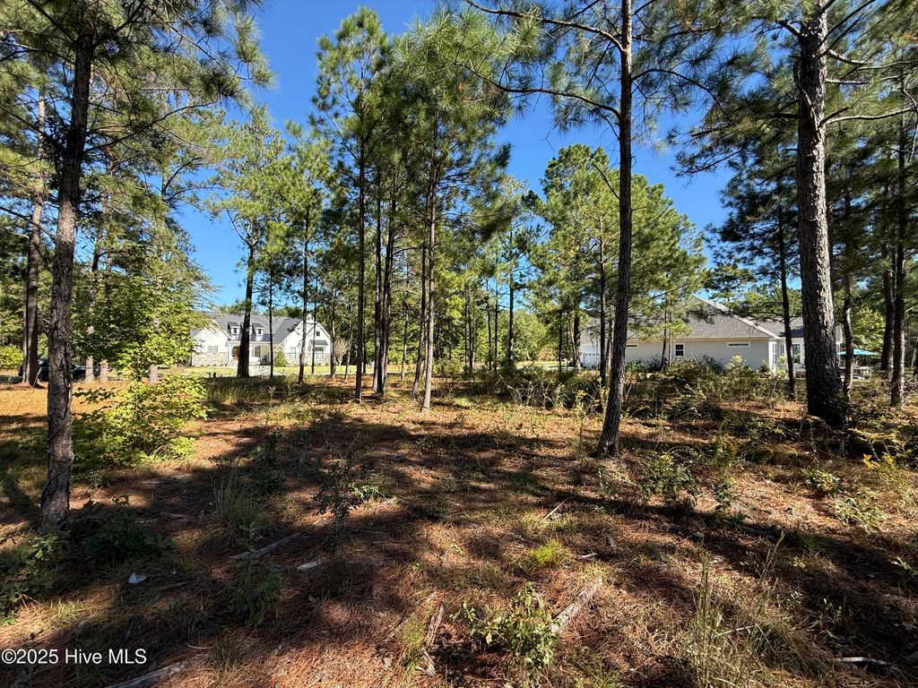 Photo of 3705 Little Berry Place NE, Leland, NC 28451 (MLS # 100537024)