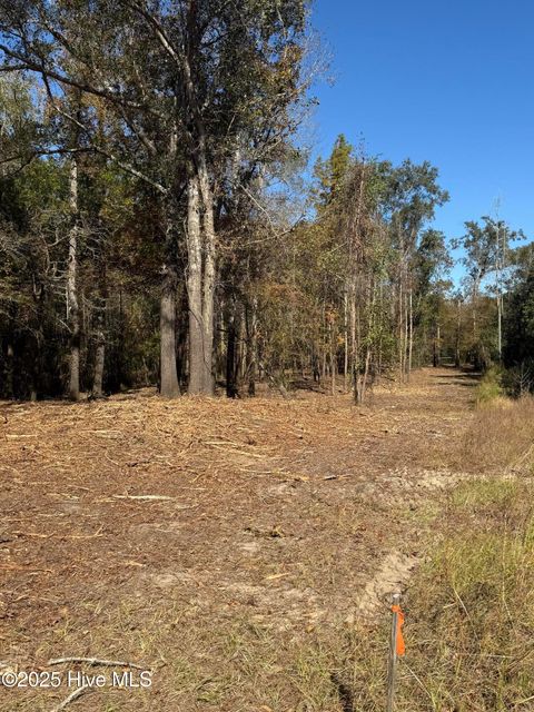 Tiny photo for 1 E Marney Drive, Burgaw, NC 28425 (MLS # 100539107)