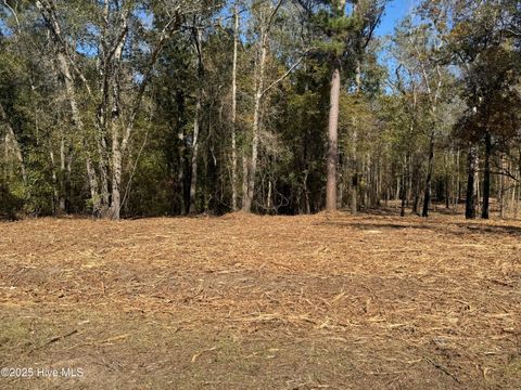 Tiny photo for 1 E Marney Drive, Burgaw, NC 28425 (MLS # 100539107)