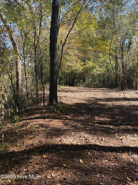 Tiny photo for 1 E Marney Drive, Burgaw, NC 28425 (MLS # 100539107)