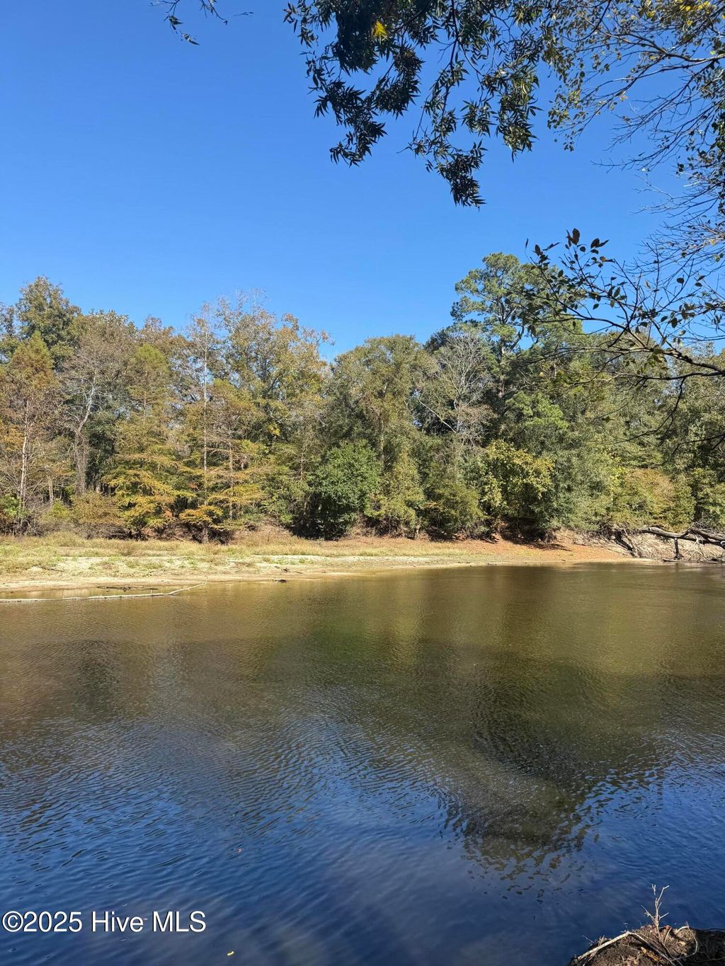 Photo of 1 E Marney Drive, Burgaw, NC 28425 (MLS # 100539107)