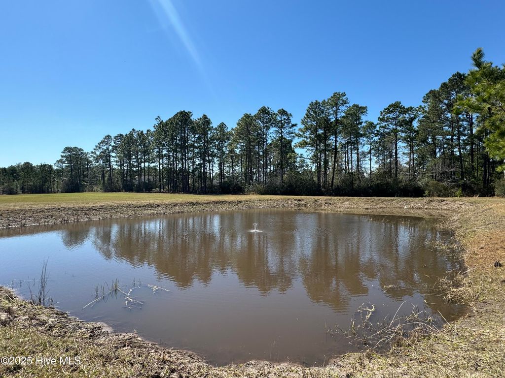 Photo of 4 Green Hill Road NE, Leland, NC 28451 (MLS # 100507416)