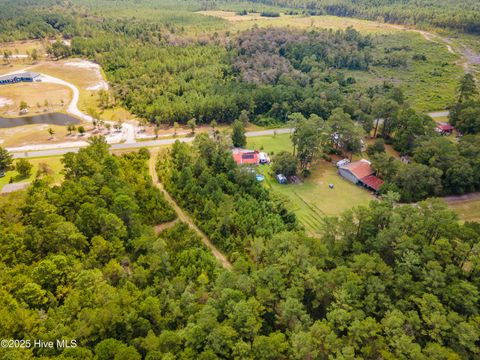 Tiny photo for 0 Nine Mile Road, Maple Hill, NC 28454 (MLS # 100530028)